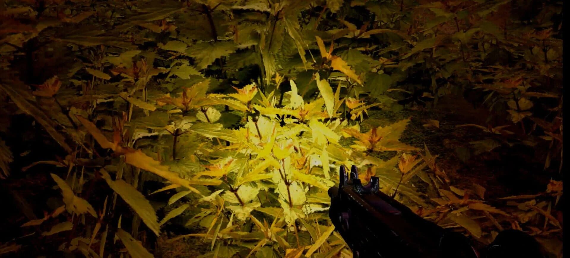 Strange Adventures screenshot 5