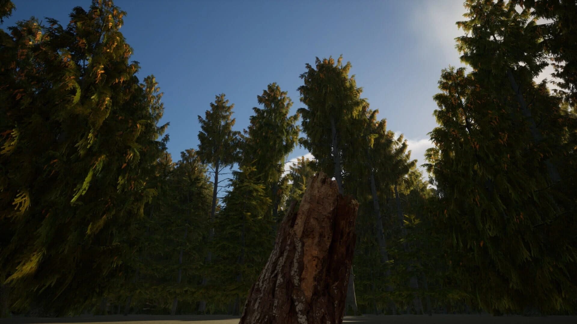 Stump Simulator screenshot 4