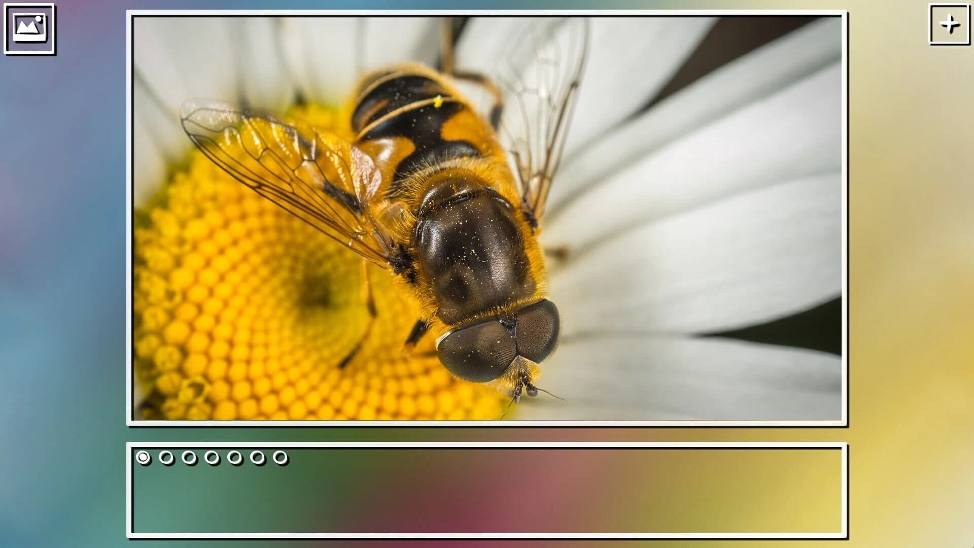 Super Jigsaw Puzzle: Generations screenshot 5