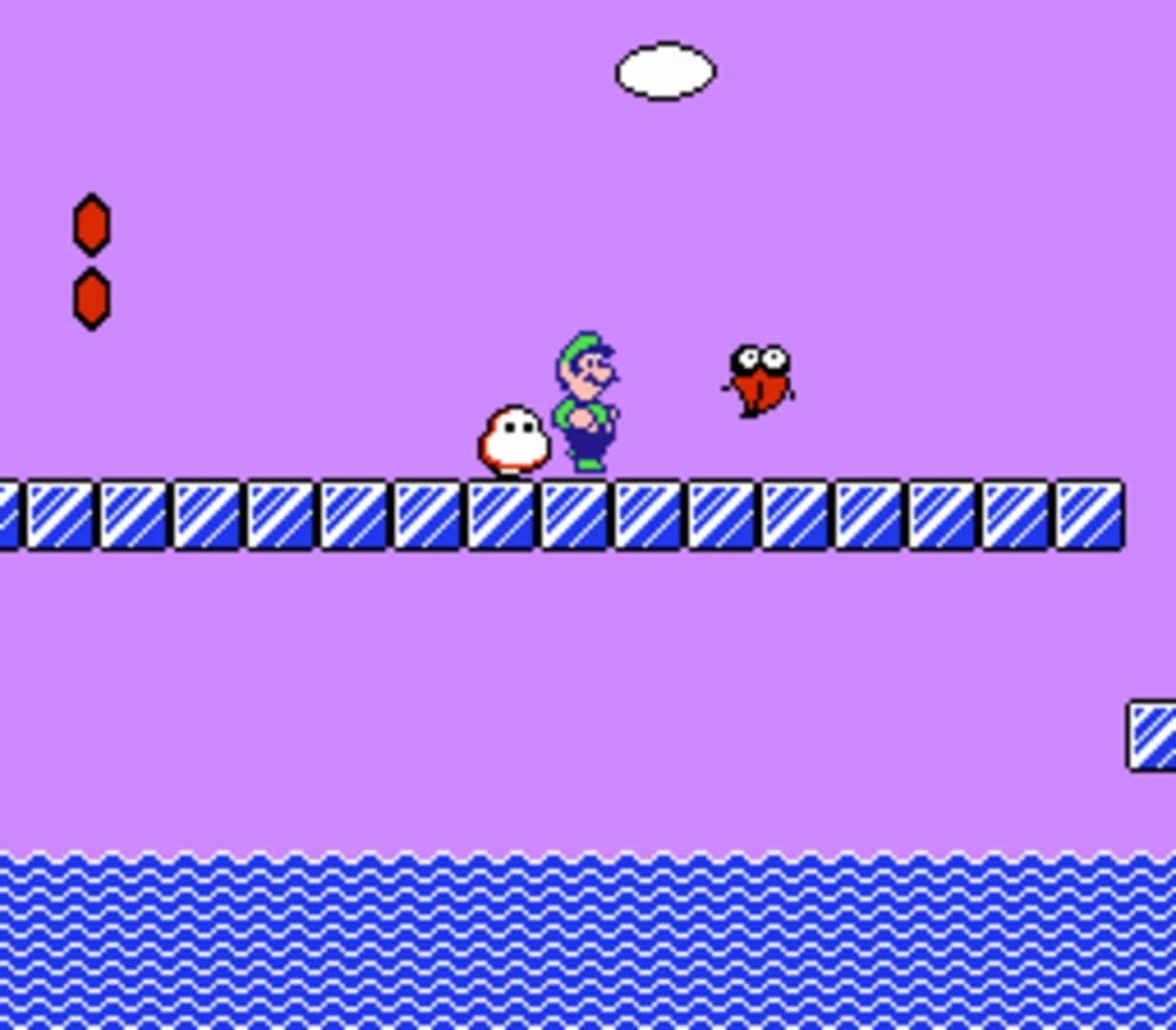Super Mario Bros. 2 screenshot 5