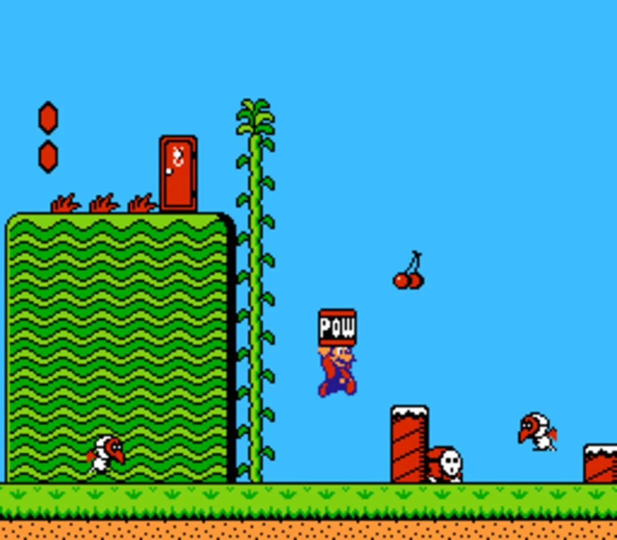 Super Mario Bros. 2 screenshot 2