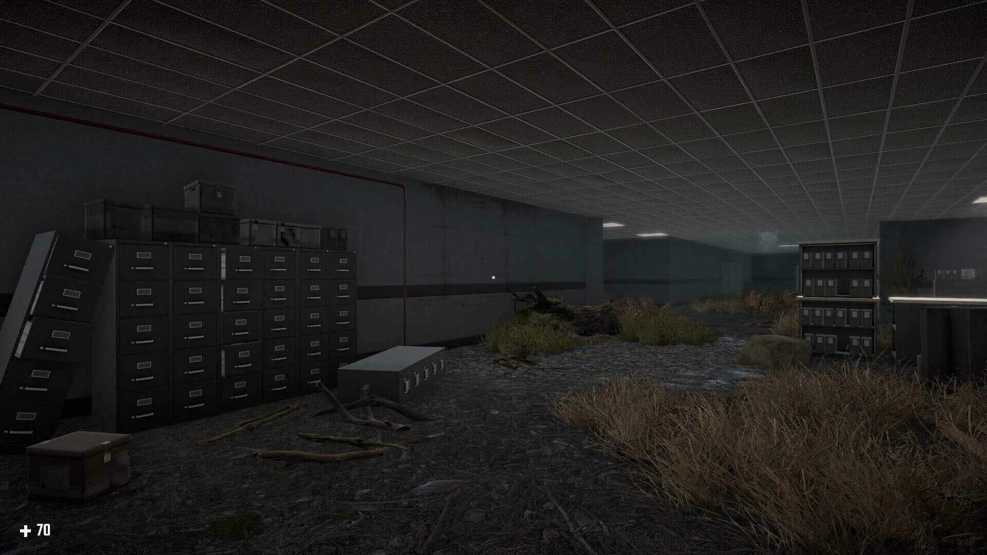 Survival in the Backrooms screenshot 1