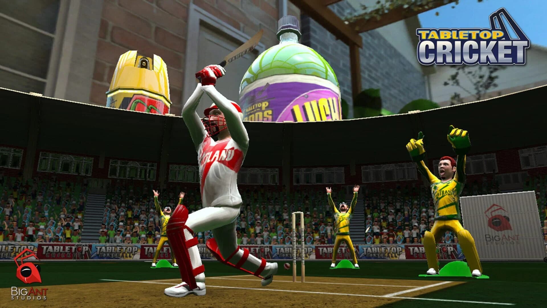 TableTop Cricket screenshot 2