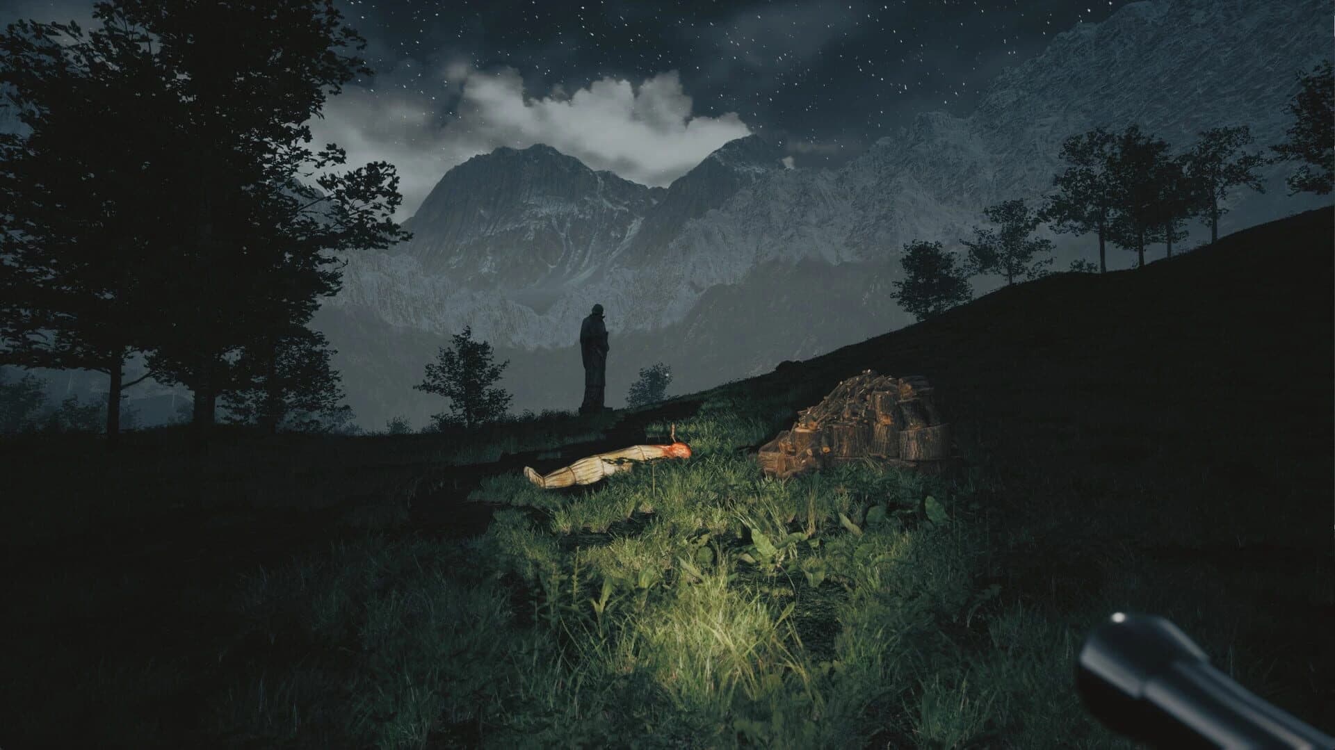 Tales From Hoia Baciu Forest screenshot 2