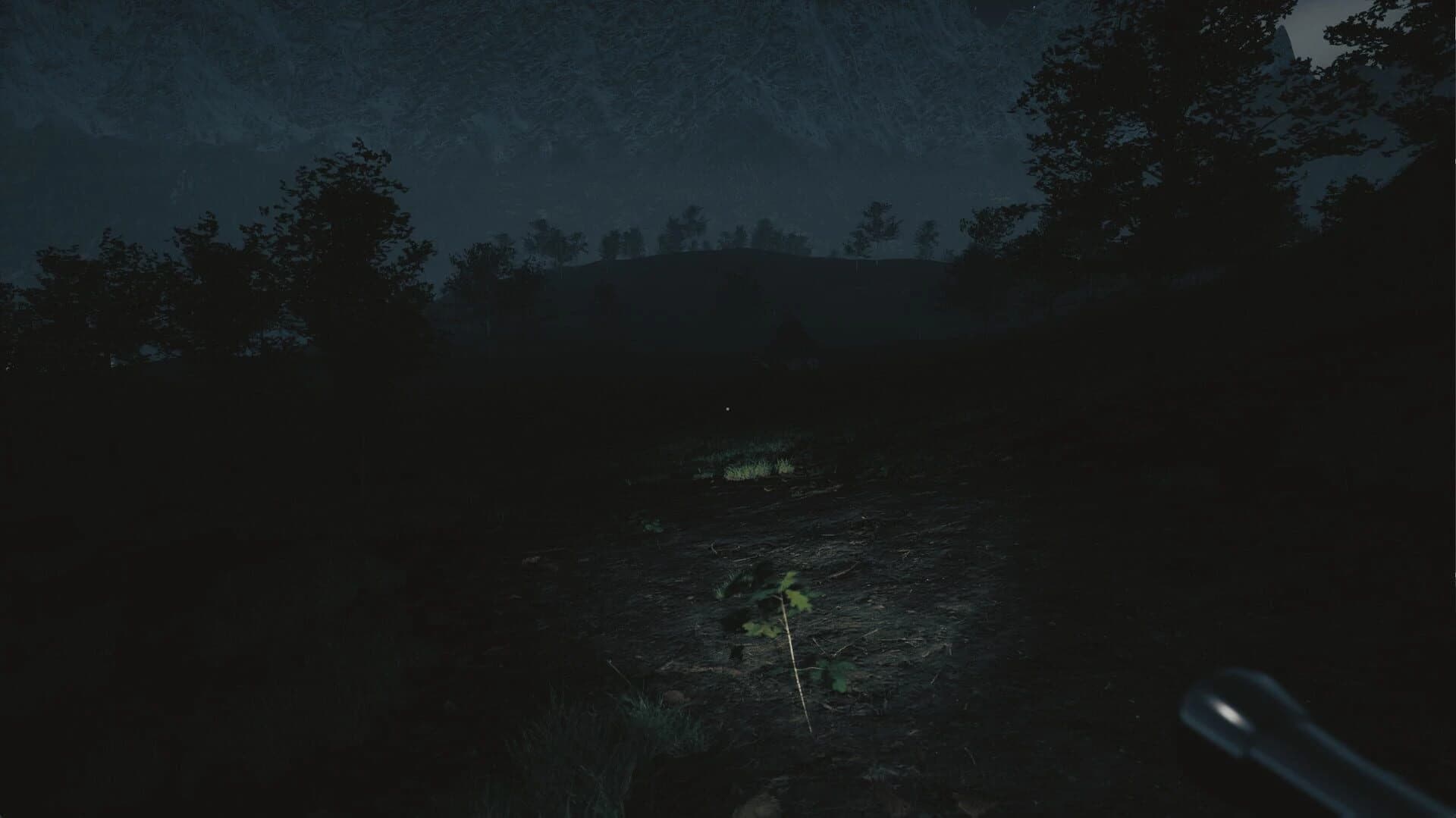 Tales From Hoia Baciu Forest screenshot 4