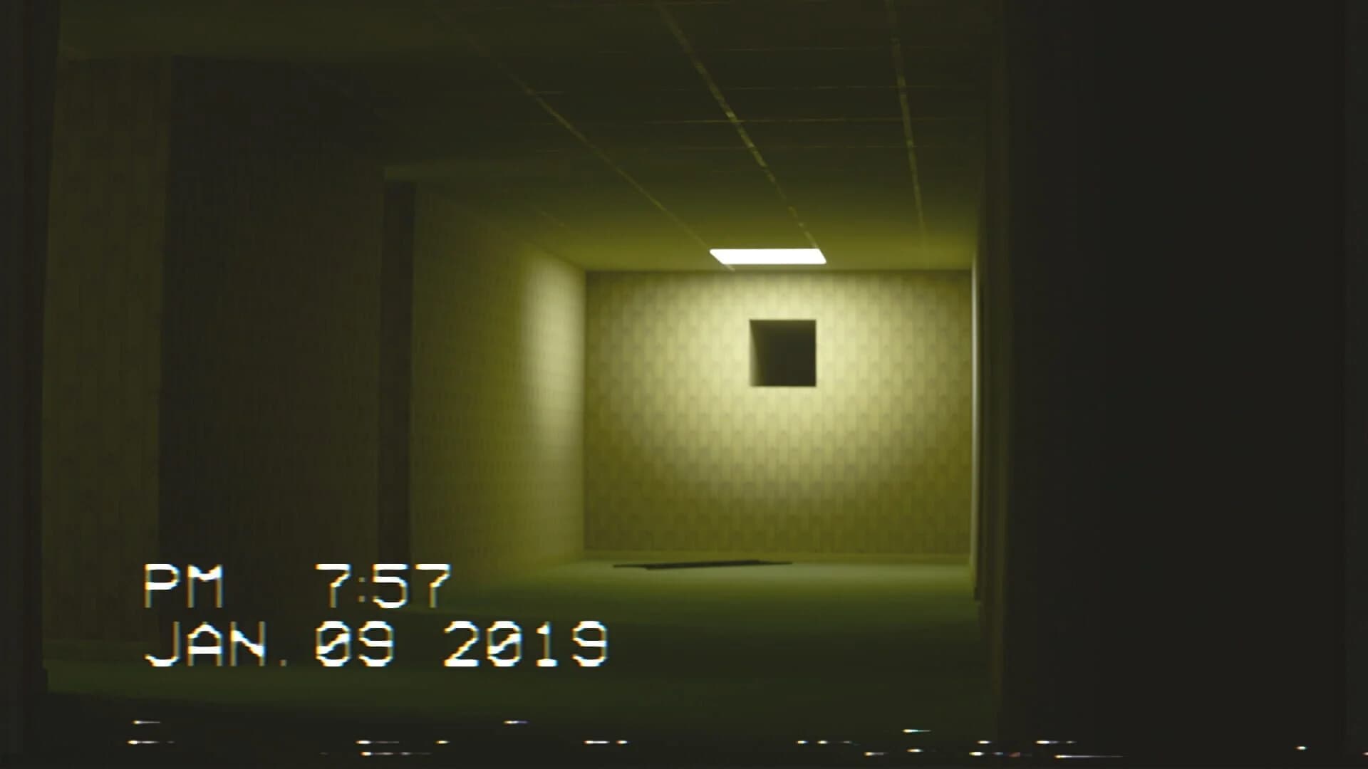 The Backrooms Footage screenshot 3