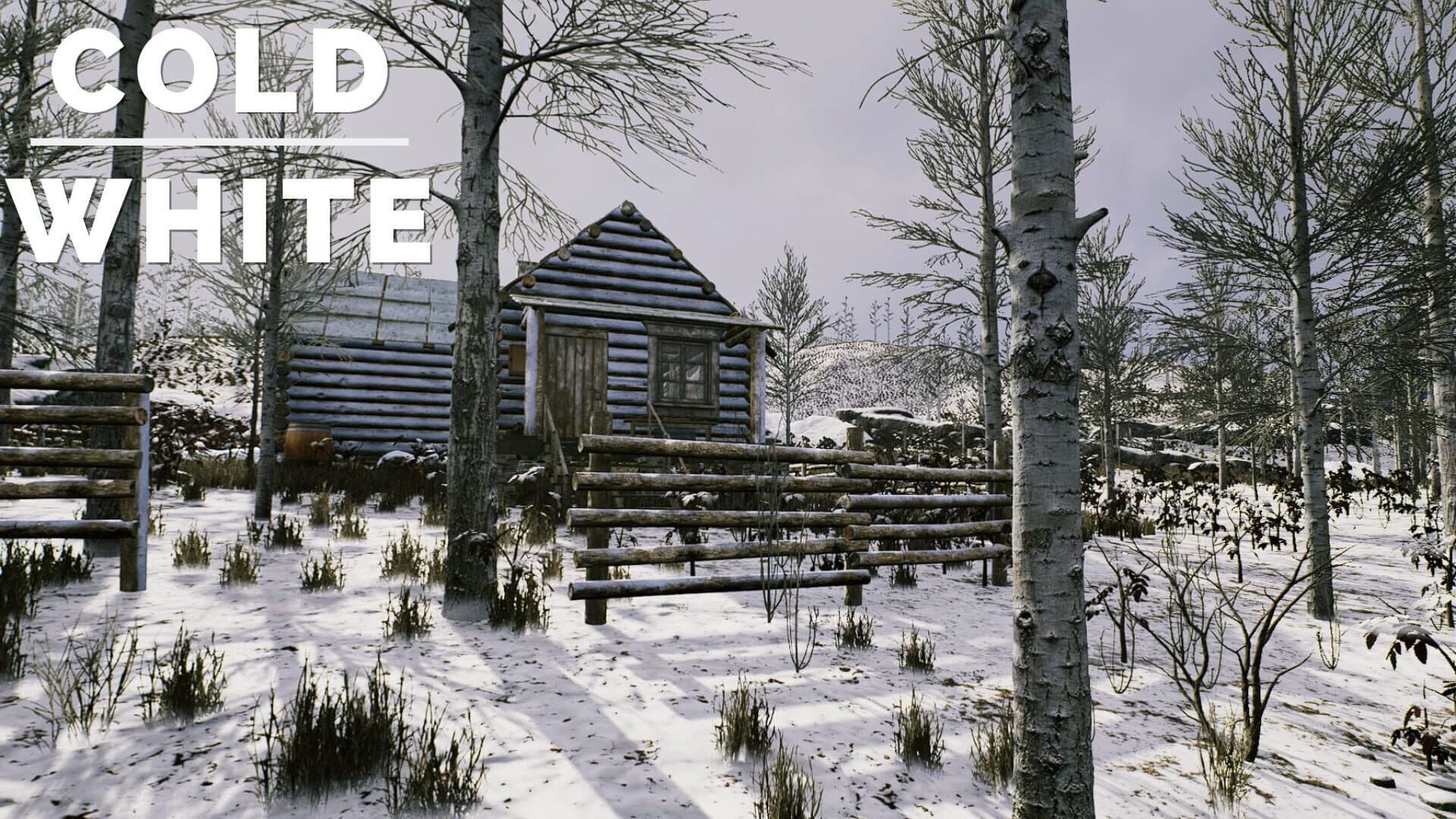 The Cold White screenshot 5