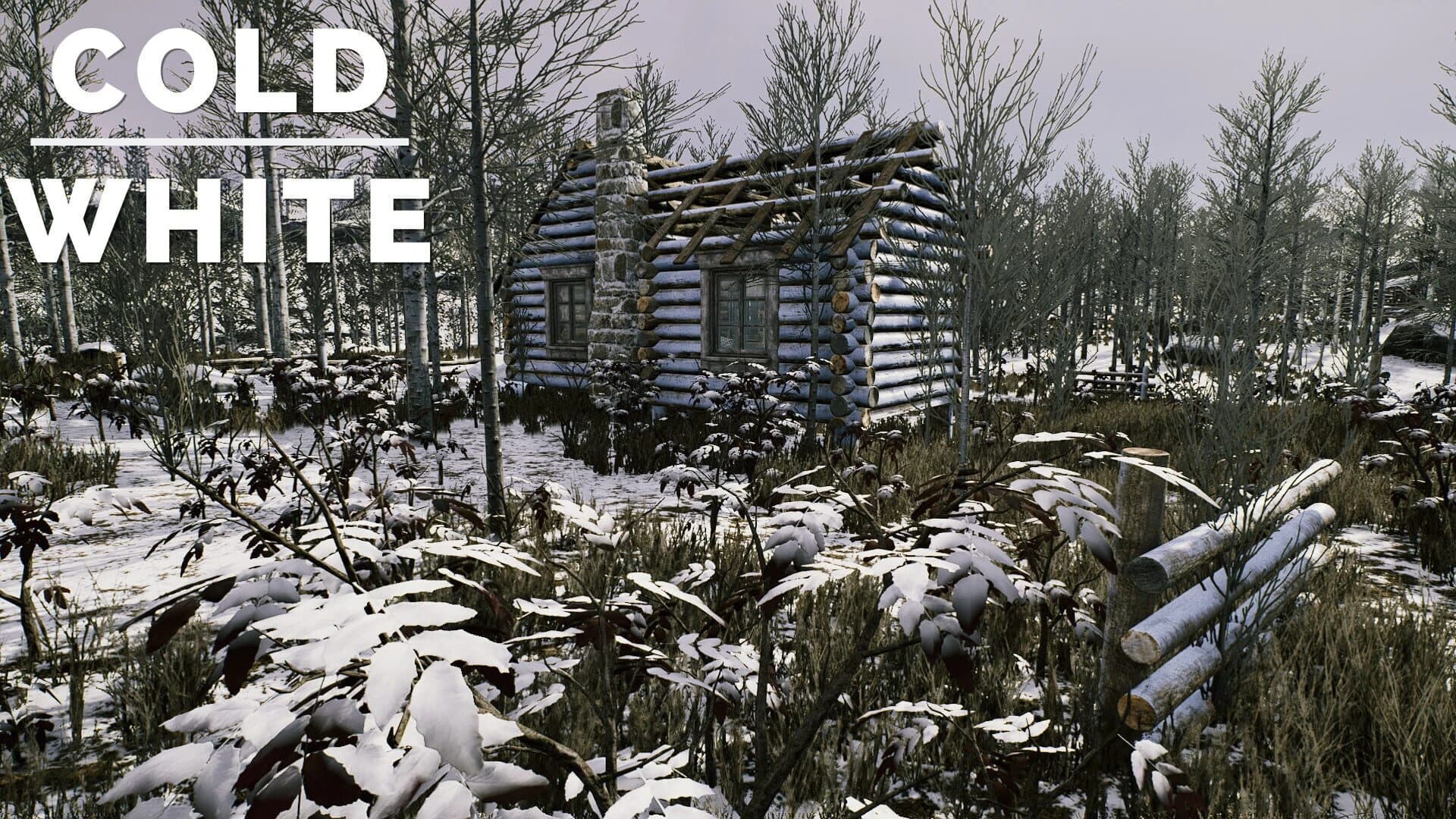 The Cold White screenshot 2