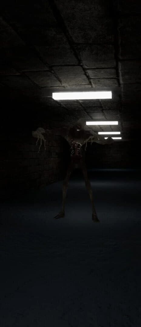 The Corridors screenshot 2