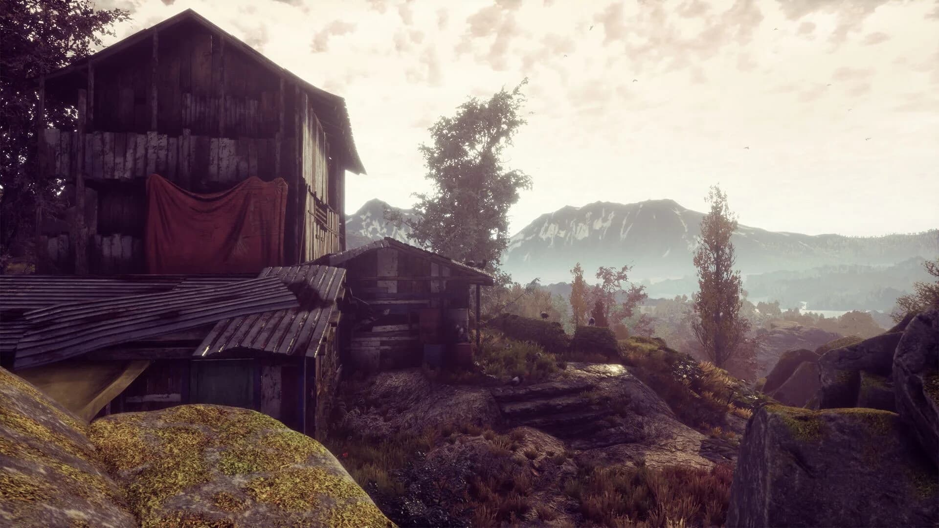 The Dead Tree of Ranchiuna screenshot 5