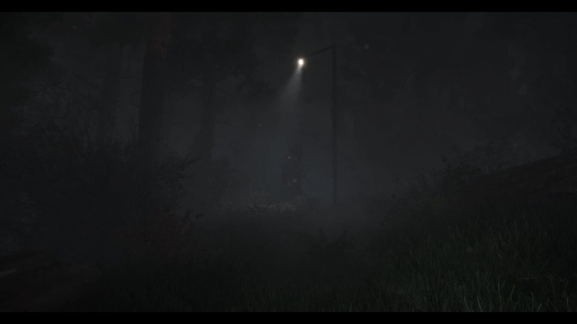 The Disappearance of Emily Crowe screenshot 1
