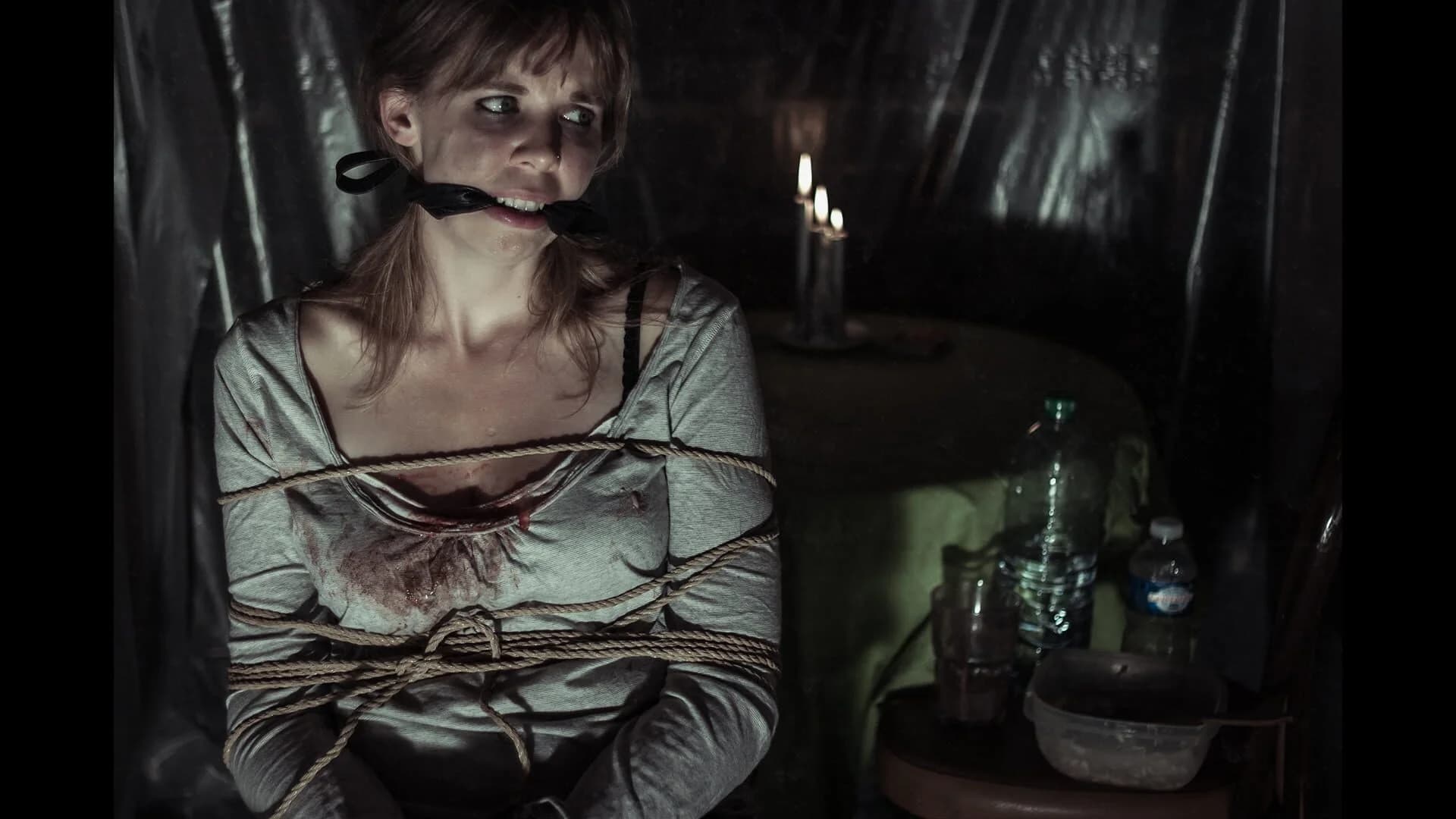 The Fan screenshot 4