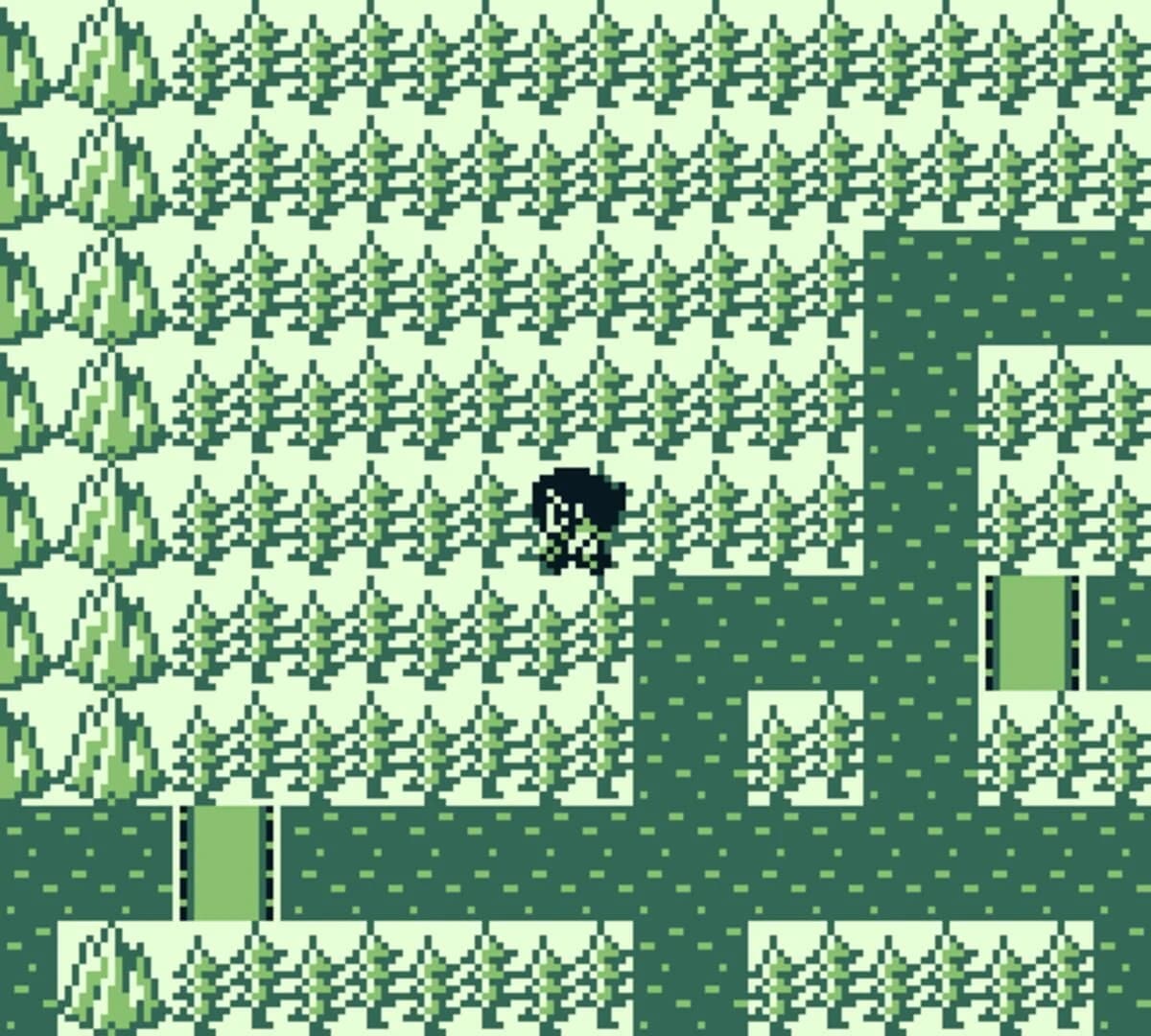 The Final Fantasy Legend screenshot 1