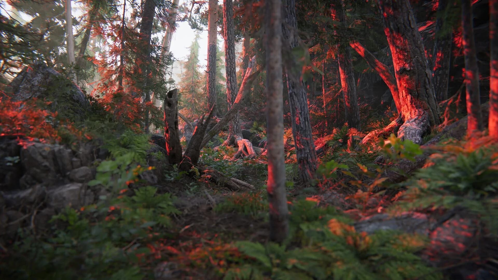 The Forest Cathedral screenshot 1