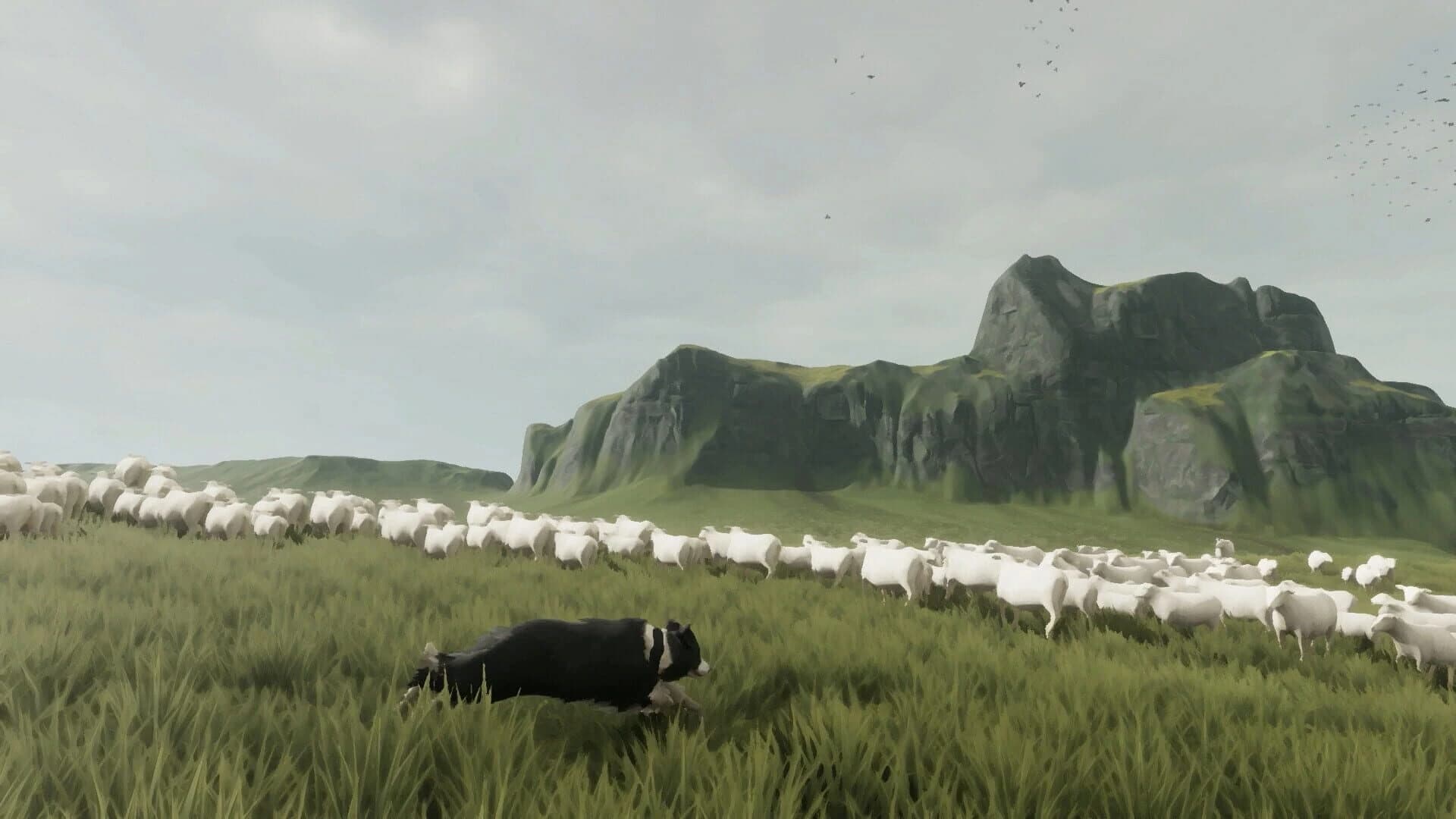 The Free Shepherd screenshot 1