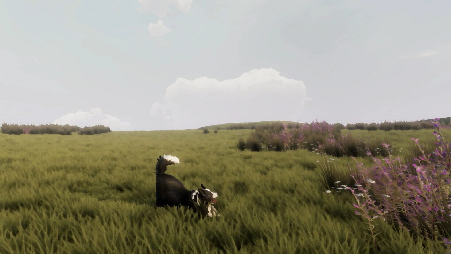 The Free Shepherd screenshot 2