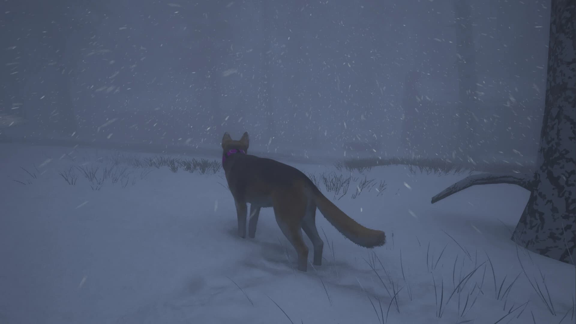 The Good Dog: Chasing Shadows screenshot 6