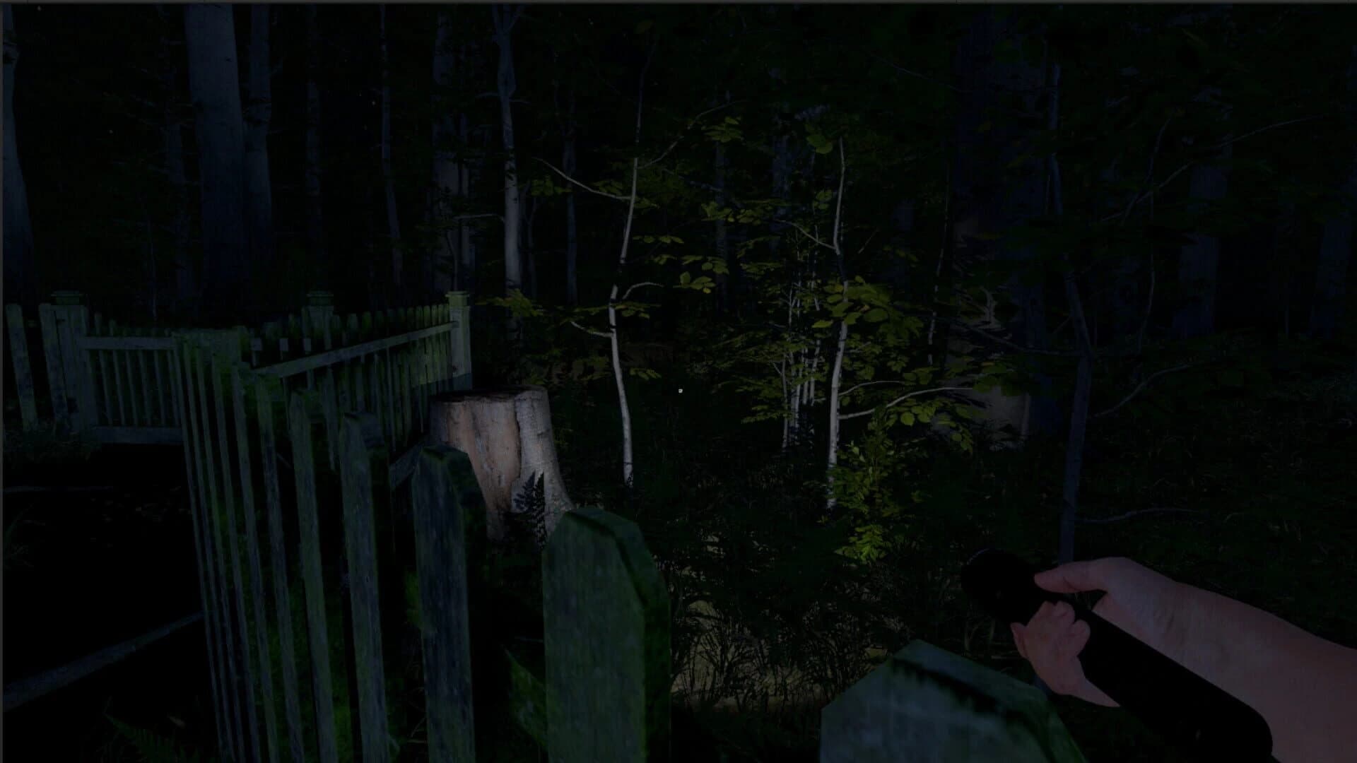The Greys: Human Abductions screenshot 1