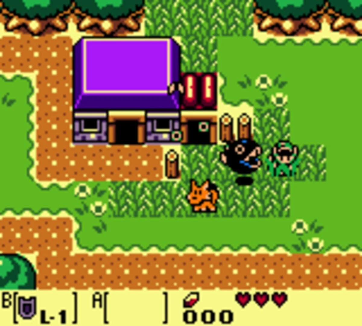 The Legend of Zelda: Link's Awakening DX screenshot 3