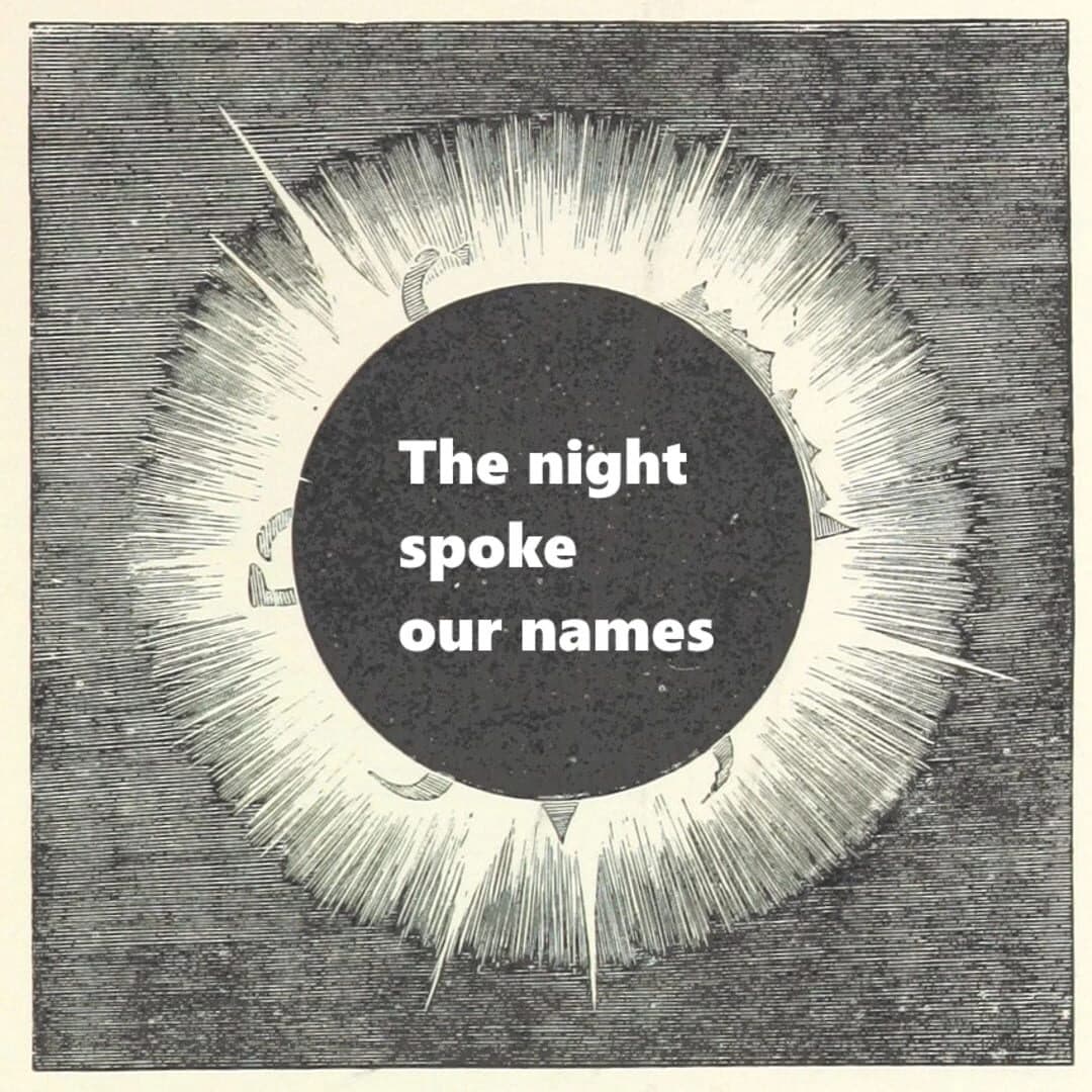 The night spoke our names screenshot 1
