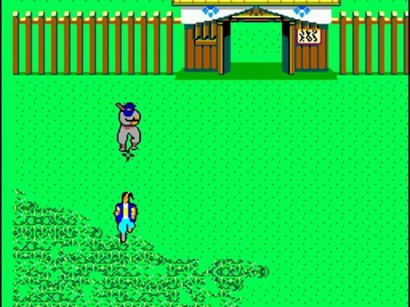 The Ninja screenshot 1