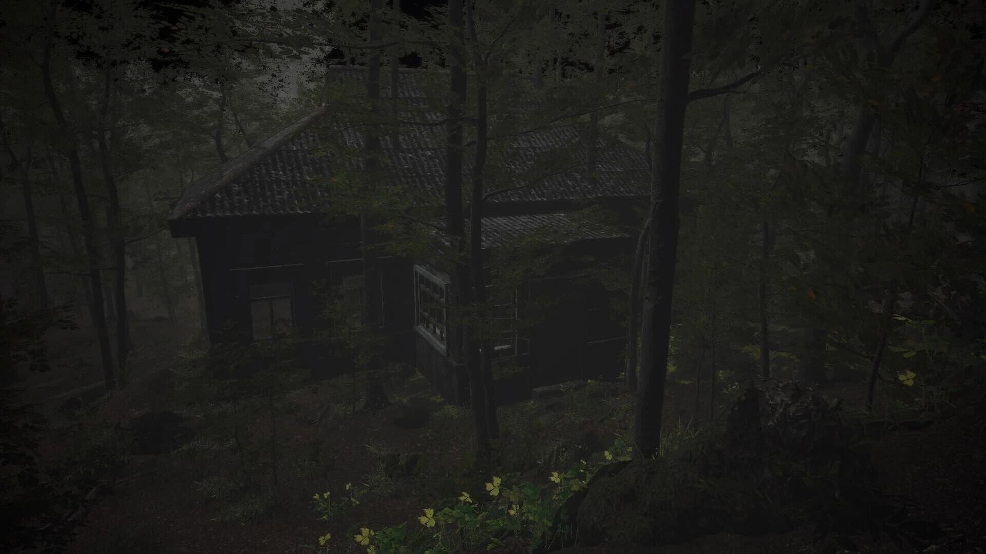 The Overnight Screening screenshot 5