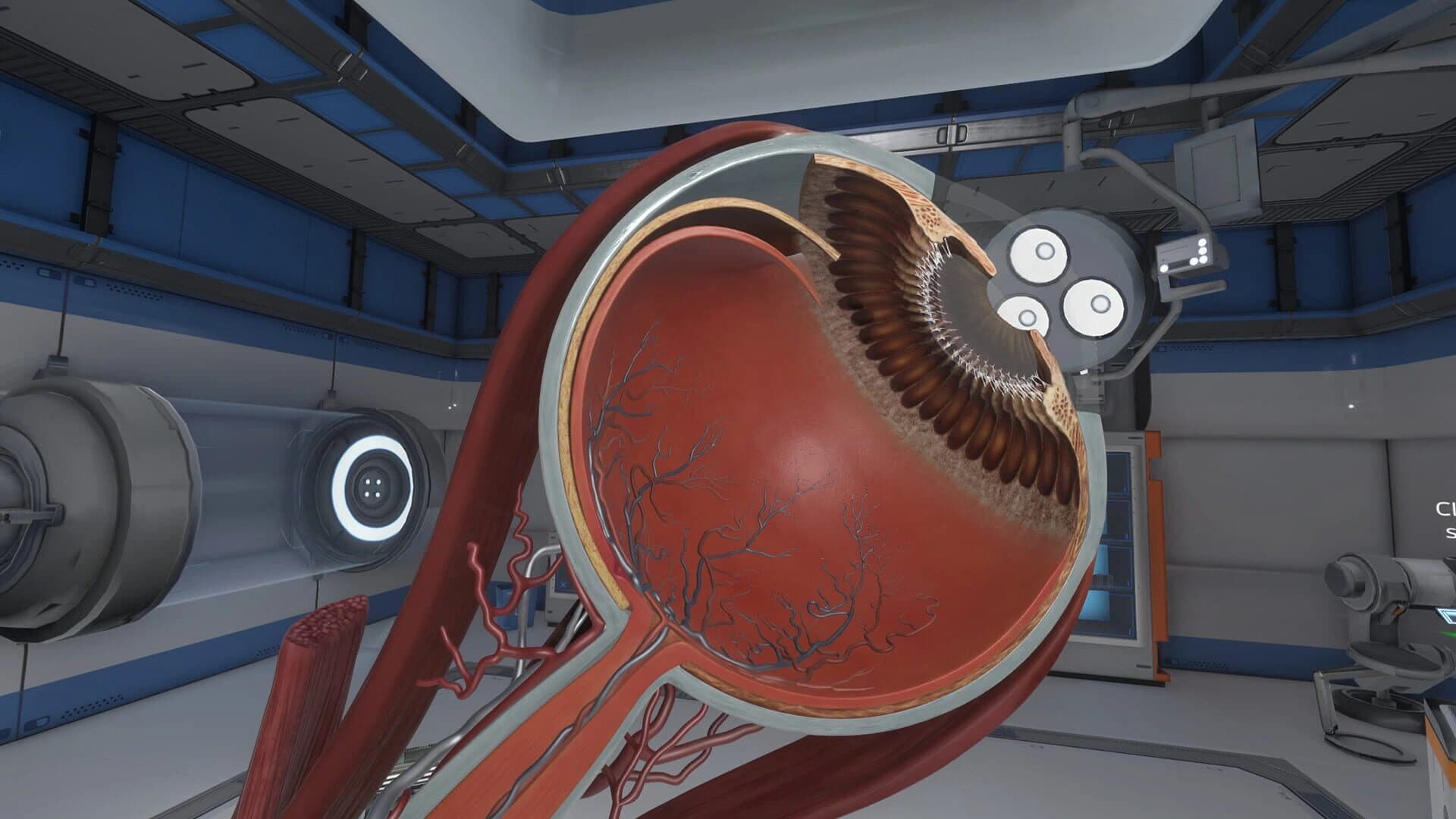 The Physiology of the Eye screenshot 4