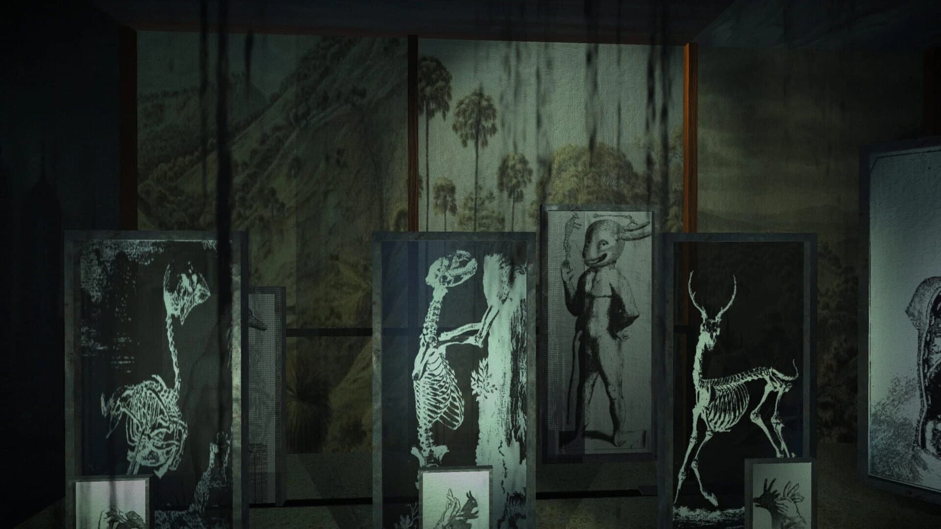 The Shape on the Ground screenshot 4