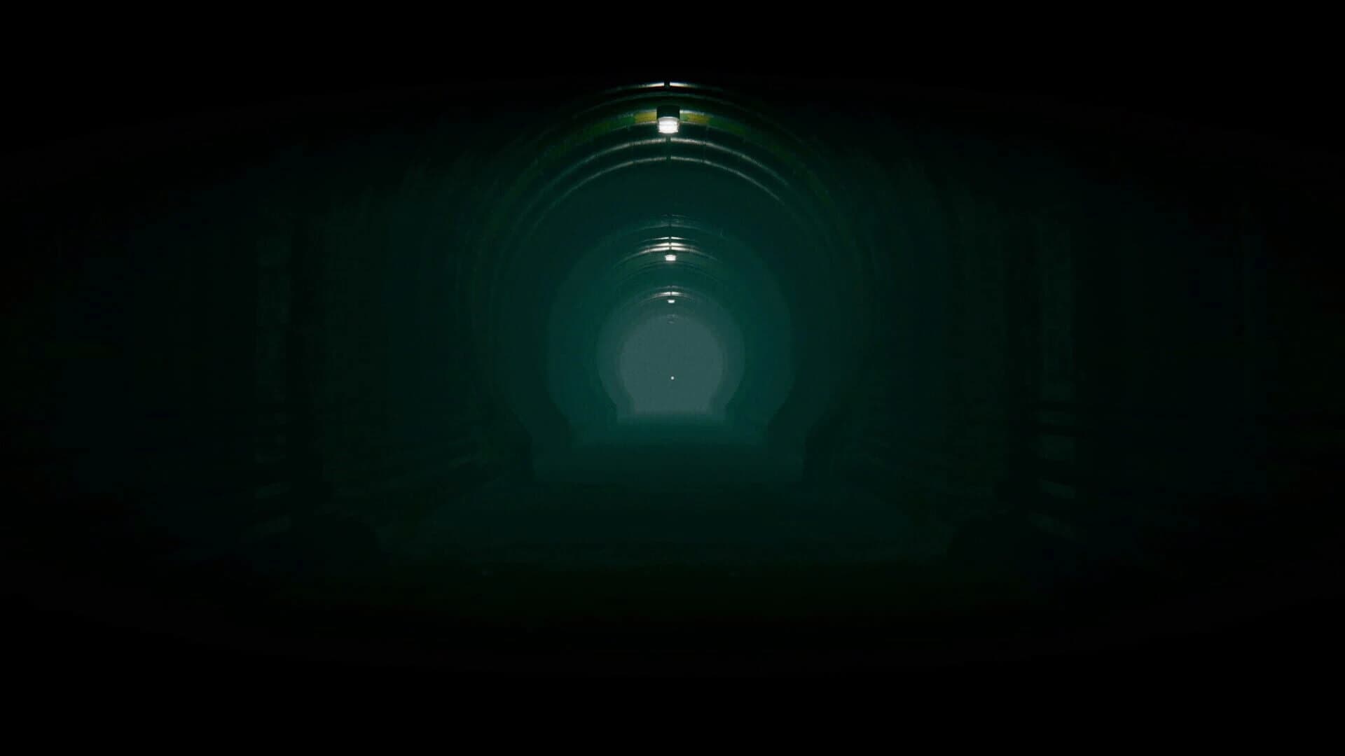 The Silent Forests screenshot 1