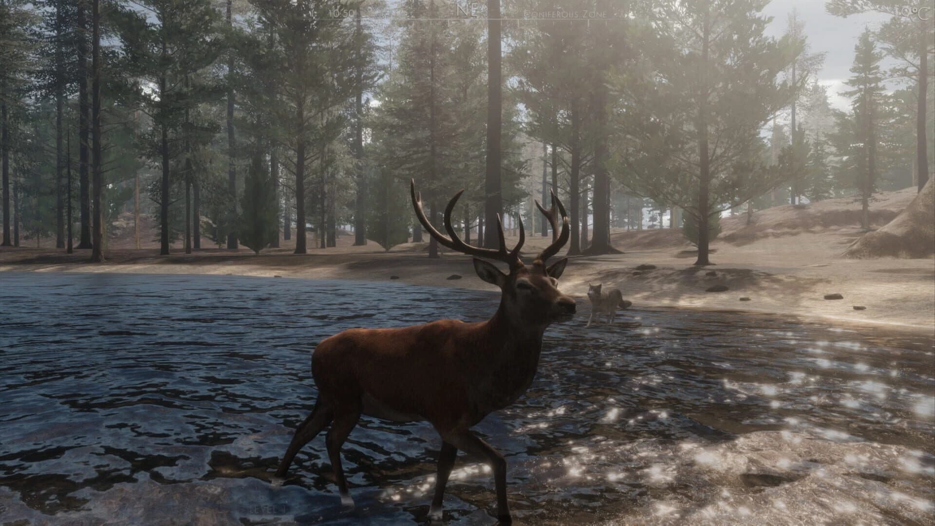 The Wilds screenshot 4
