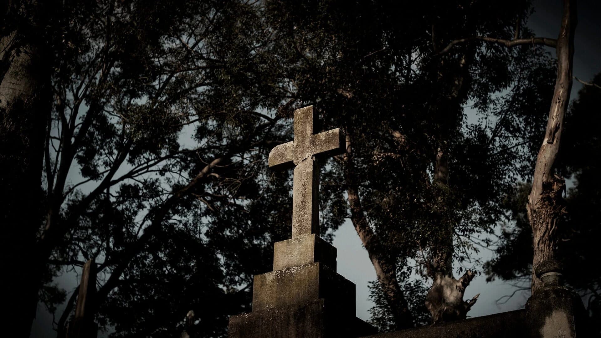 The Zombie Neighborhood screenshot 4