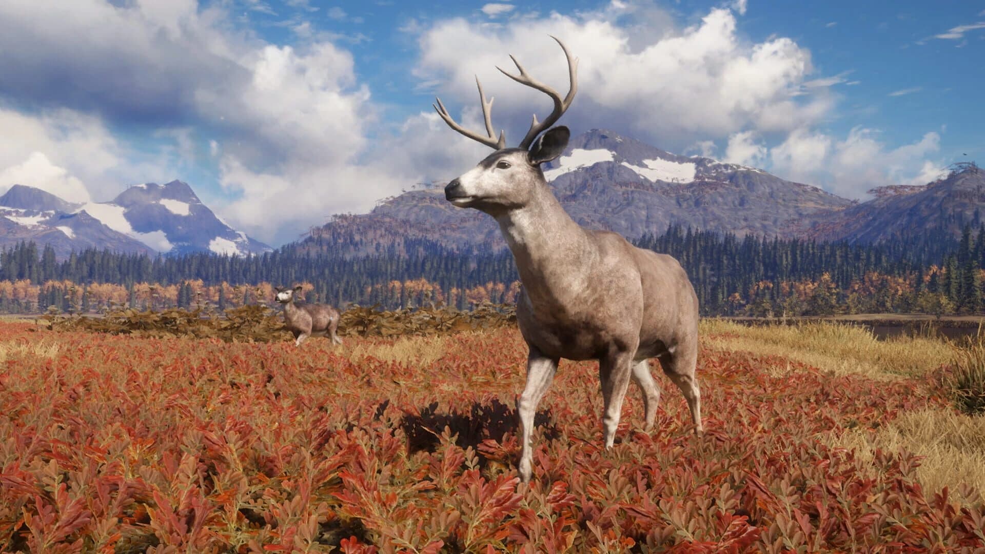 TheHunter: Call of the Wild - TruRACS screenshot 3