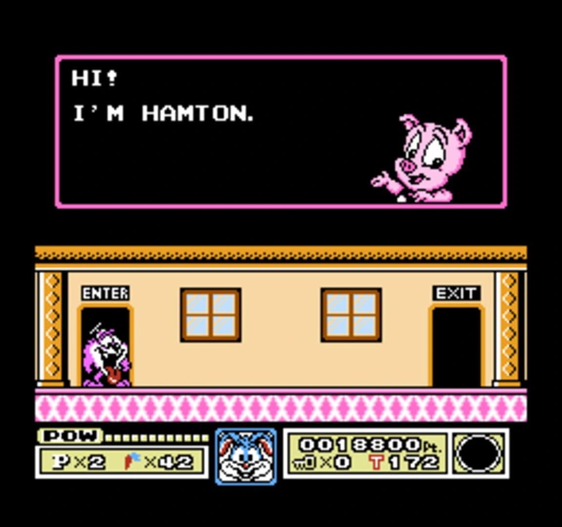 Tiny Toon Adventures screenshot 1