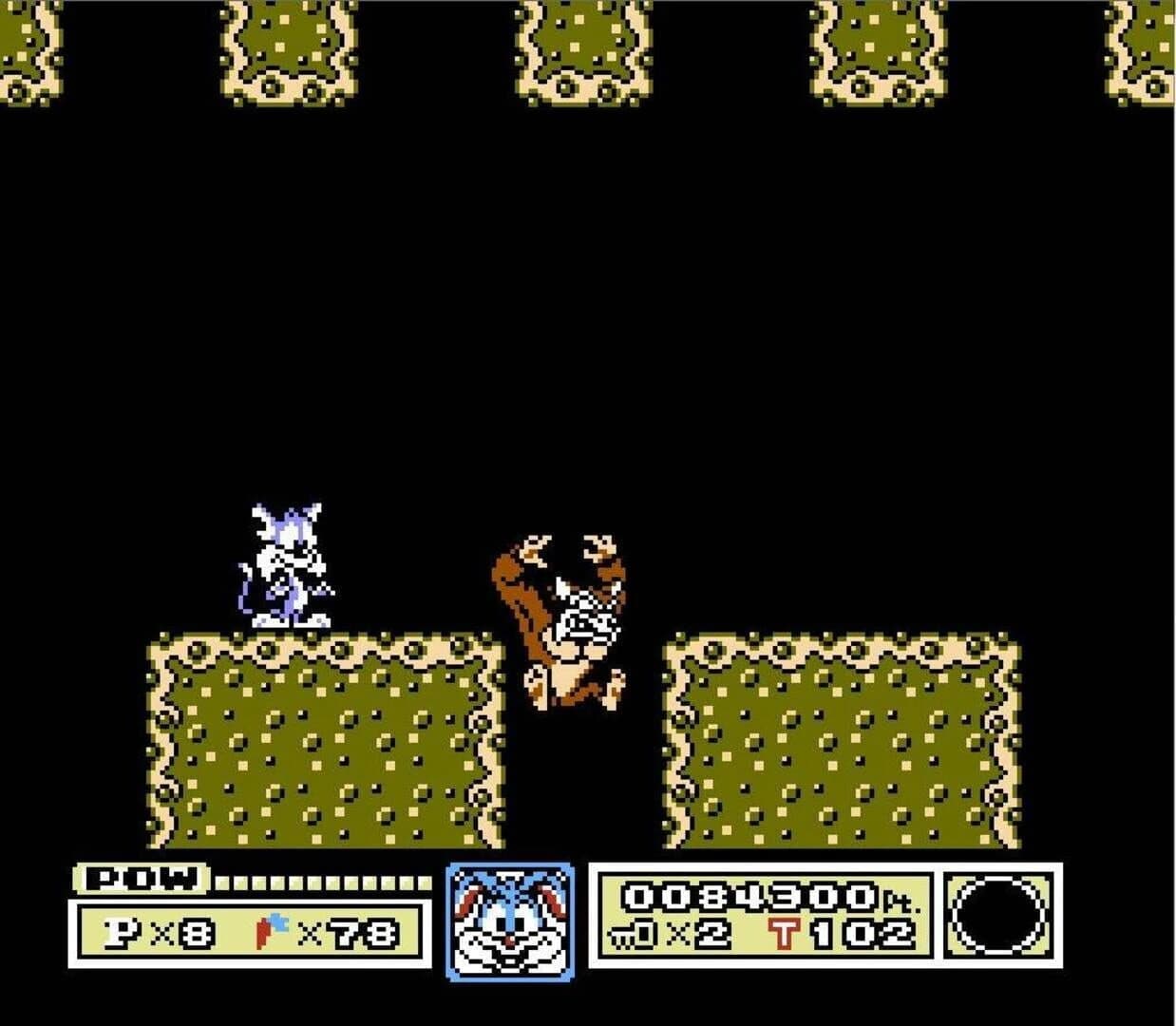 Tiny Toon Adventures screenshot 3