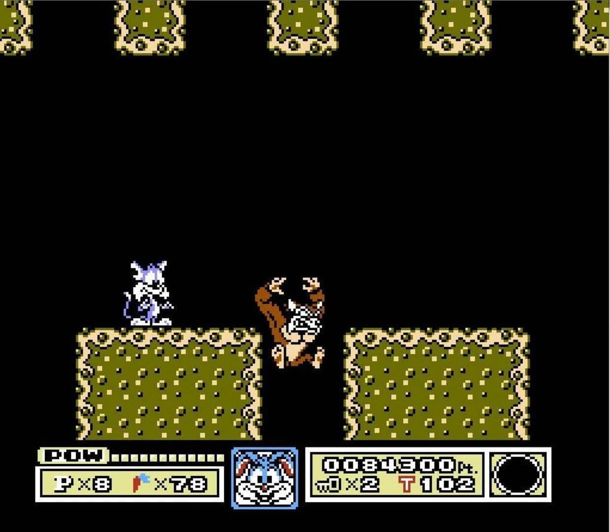 Tiny Toon Adventures screenshot 3