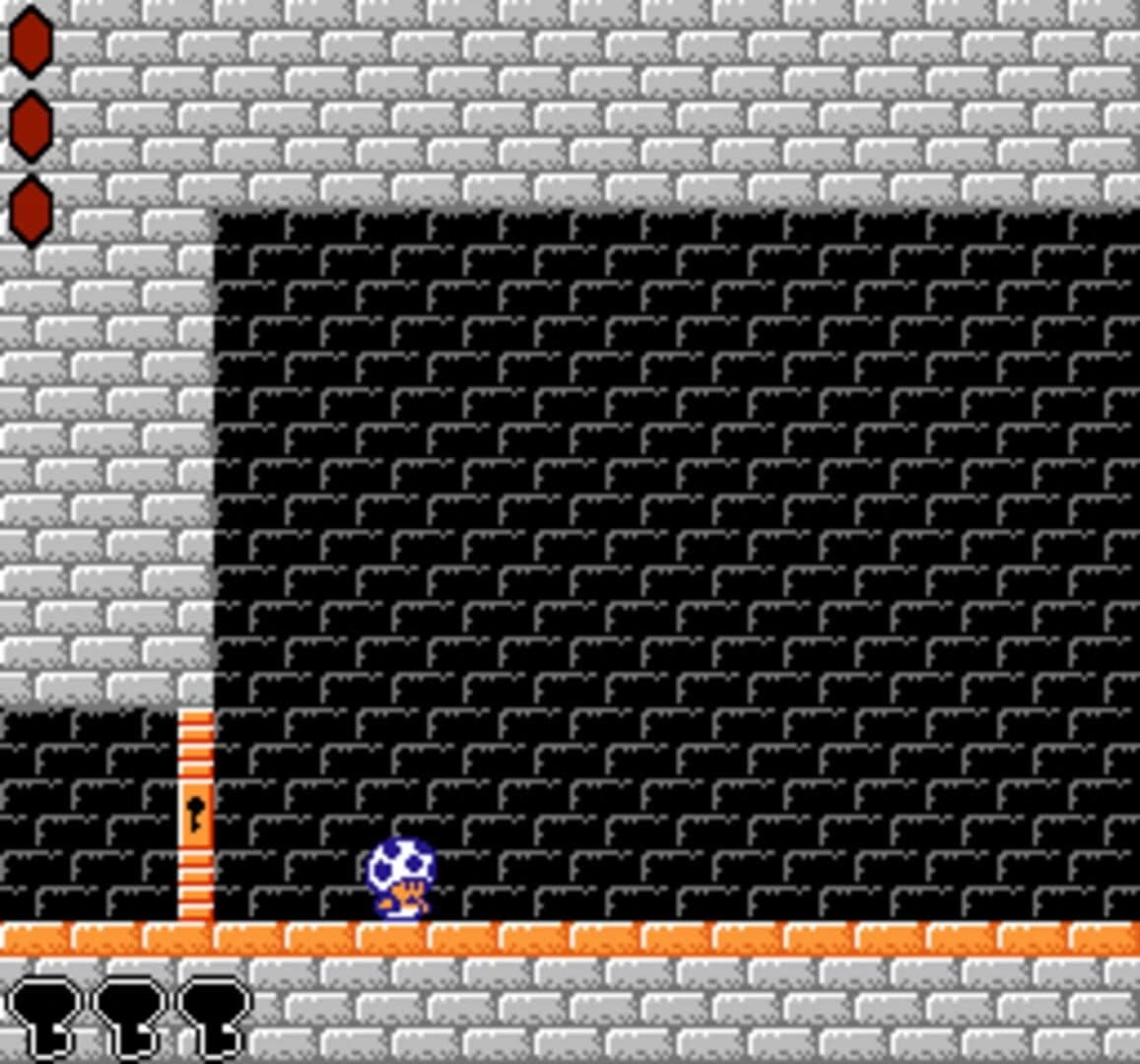Toad and the Ancient Keys screenshot 1