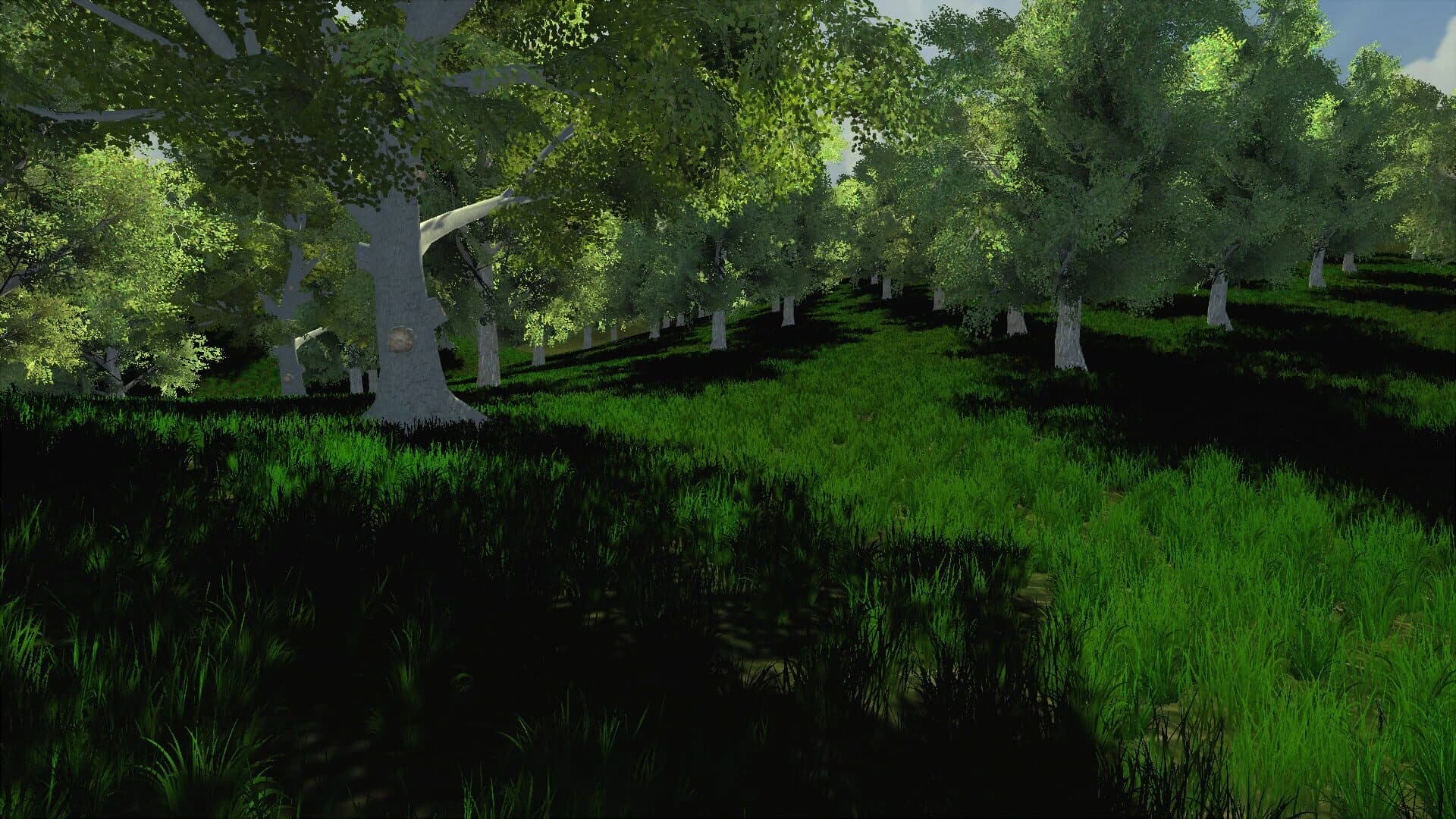 Trials of Wilderness screenshot 5