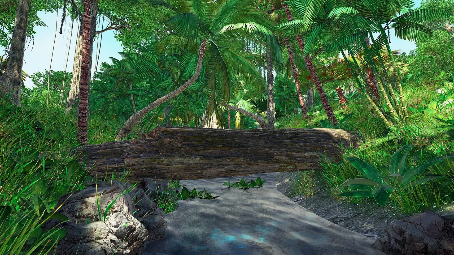 Tropical Escape screenshot 1