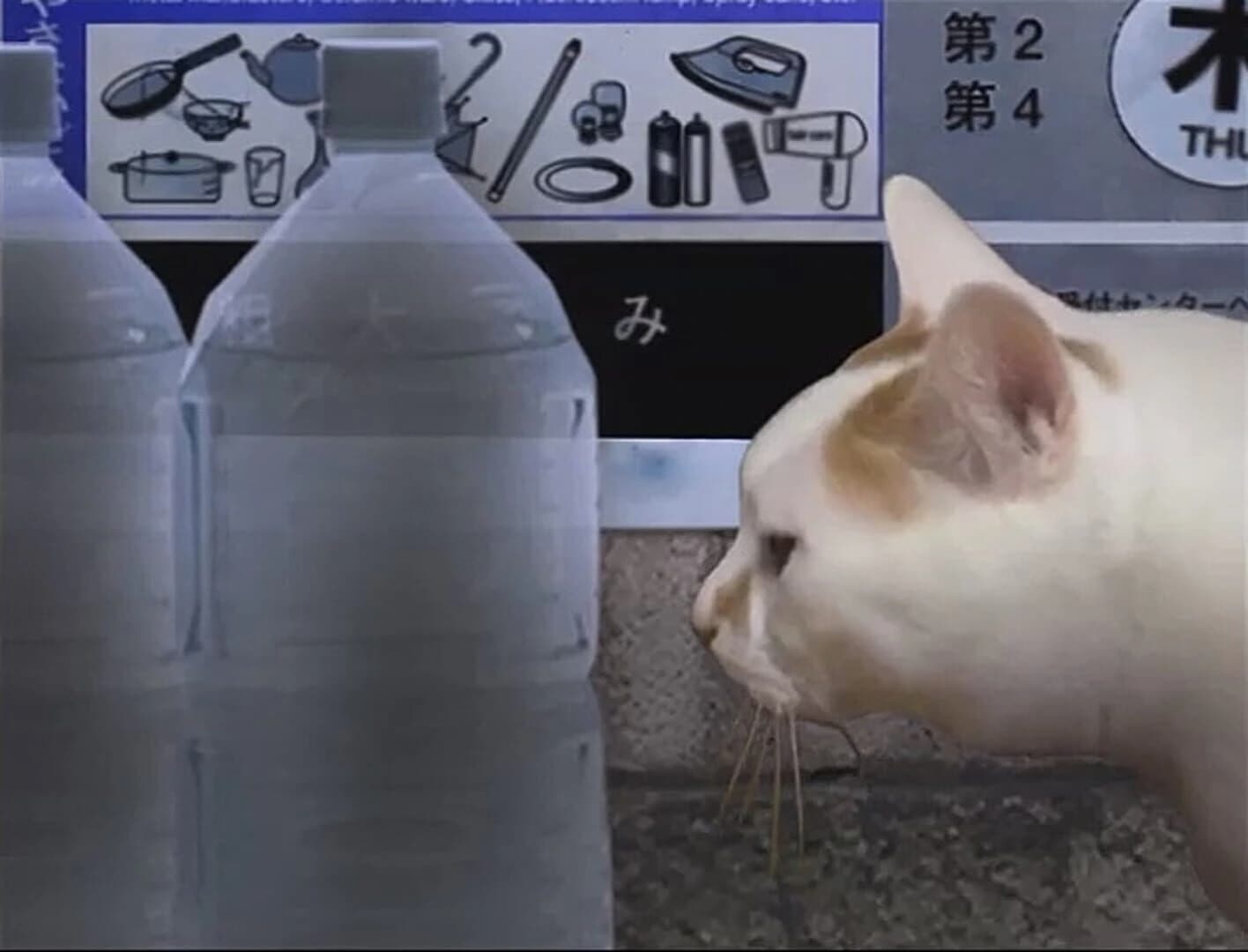 Tsugunohi screenshot 2