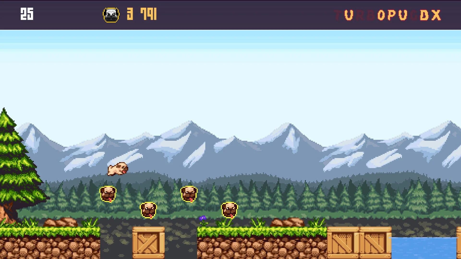 Turbo Pug DX screenshot 2