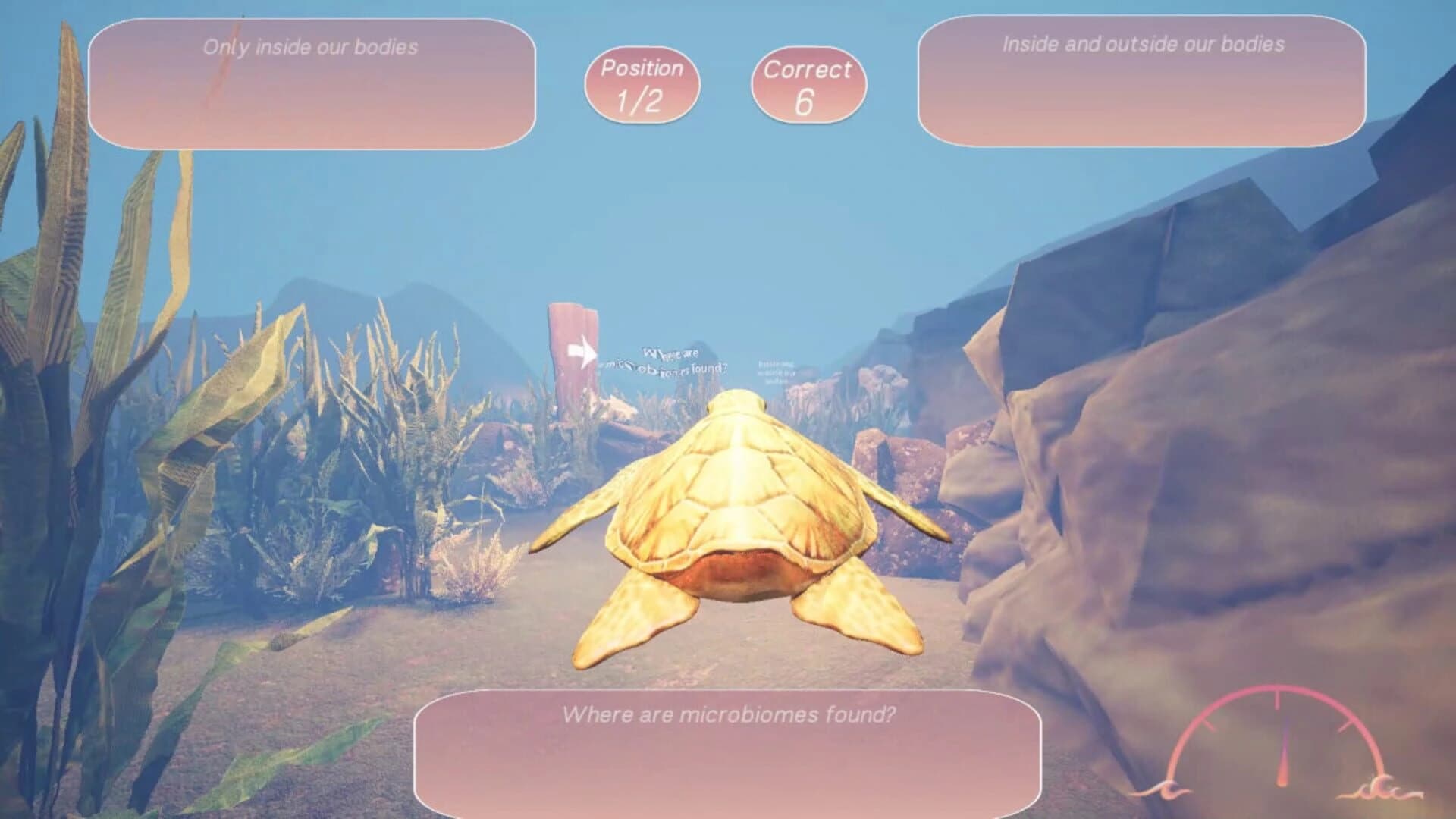 Turtle Racer screenshot 2