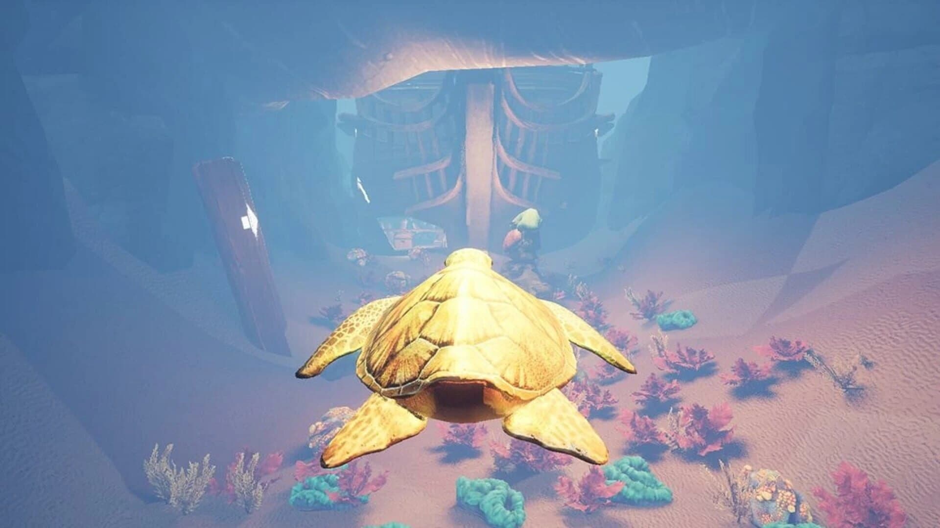 Turtle Racer screenshot 4