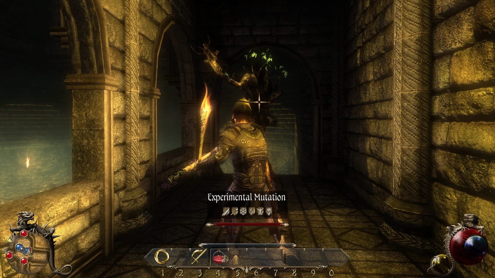 Two Worlds II: Echoes of the Dark Past 2 screenshot 3