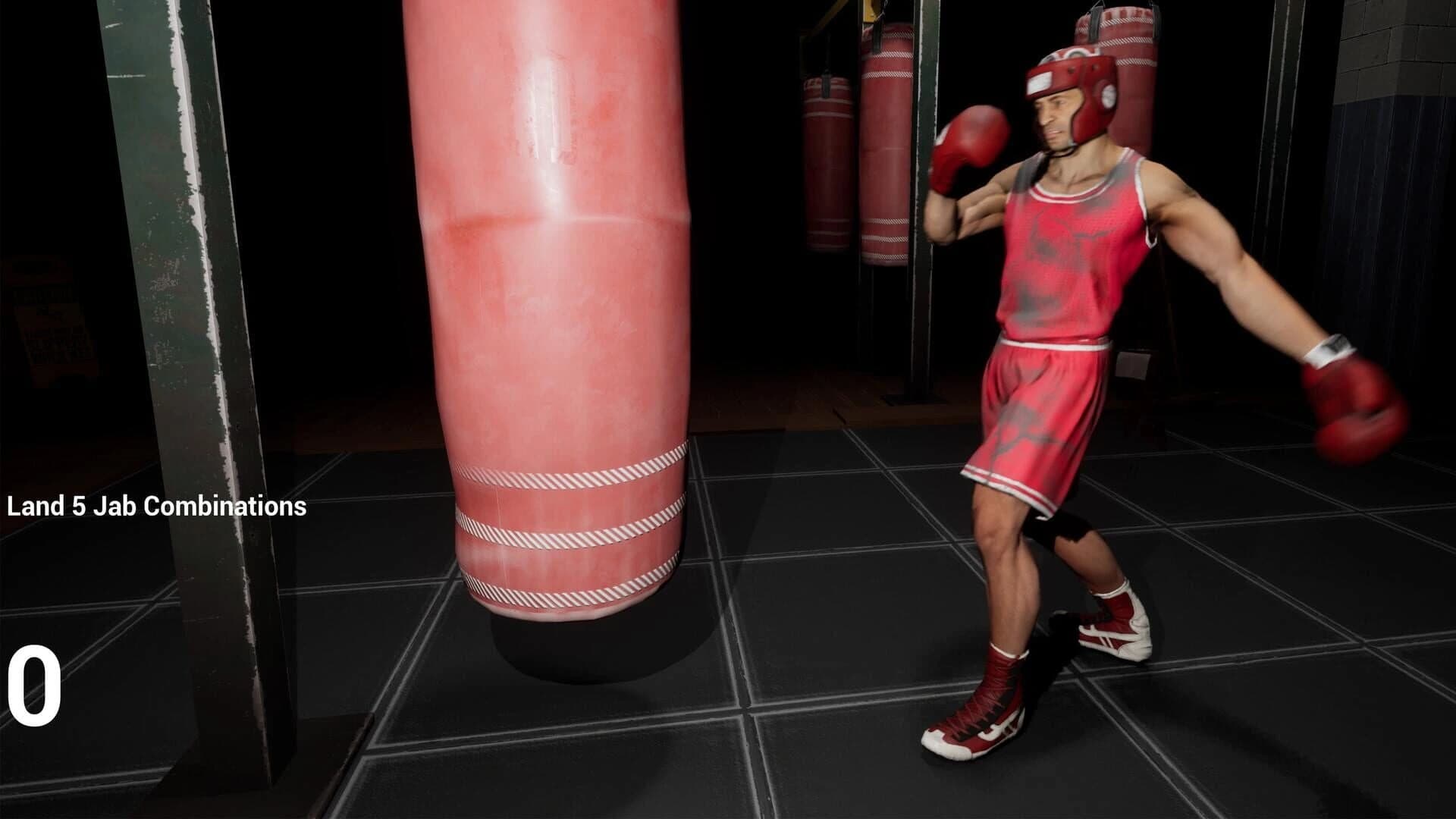 Ultimate Sparring screenshot 4
