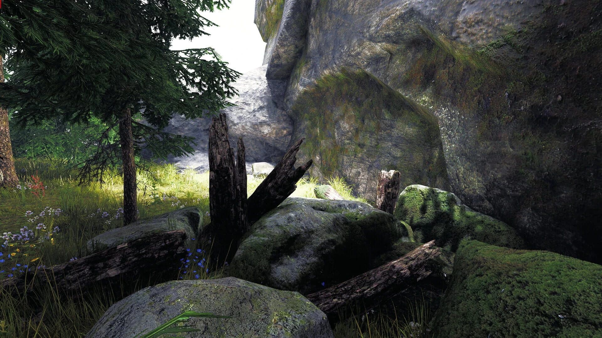 Undergrowth: VR Maze screenshot 1