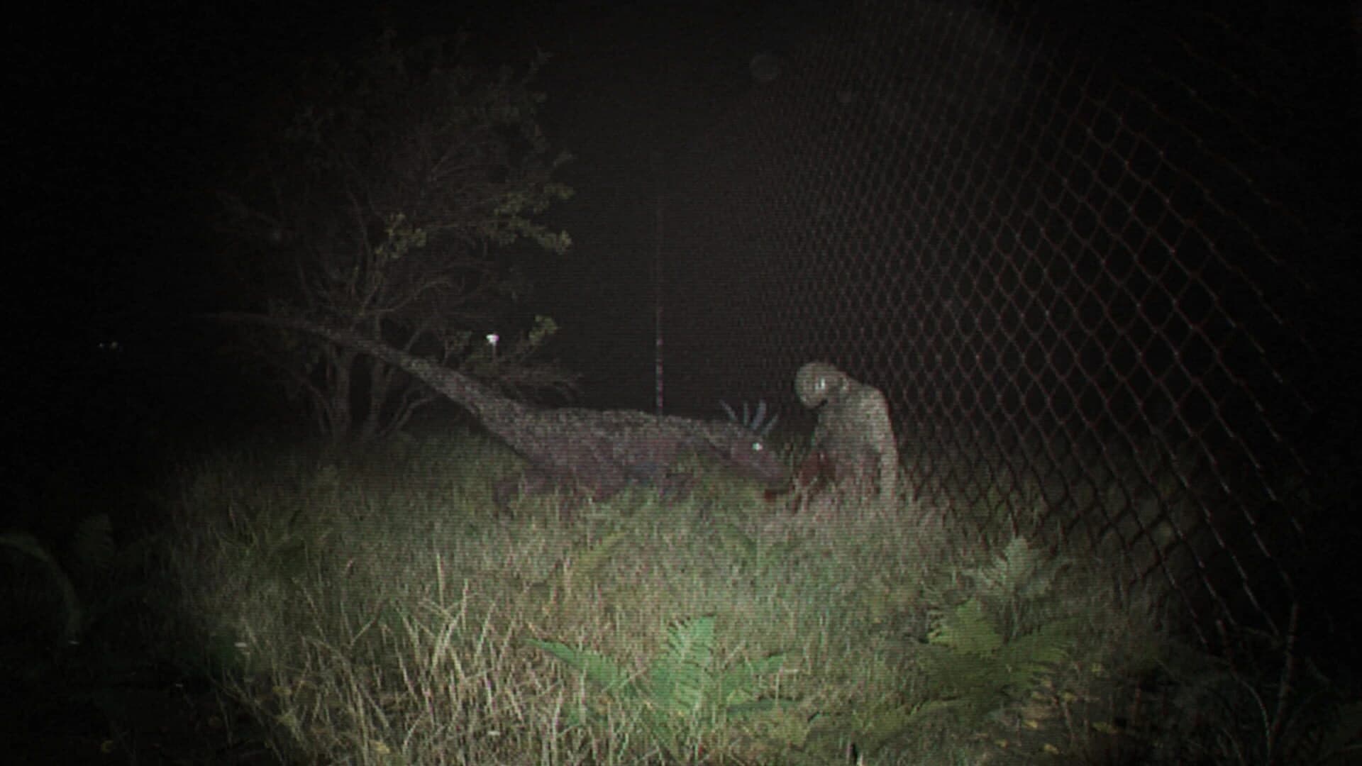 Unknown Tapes screenshot 3