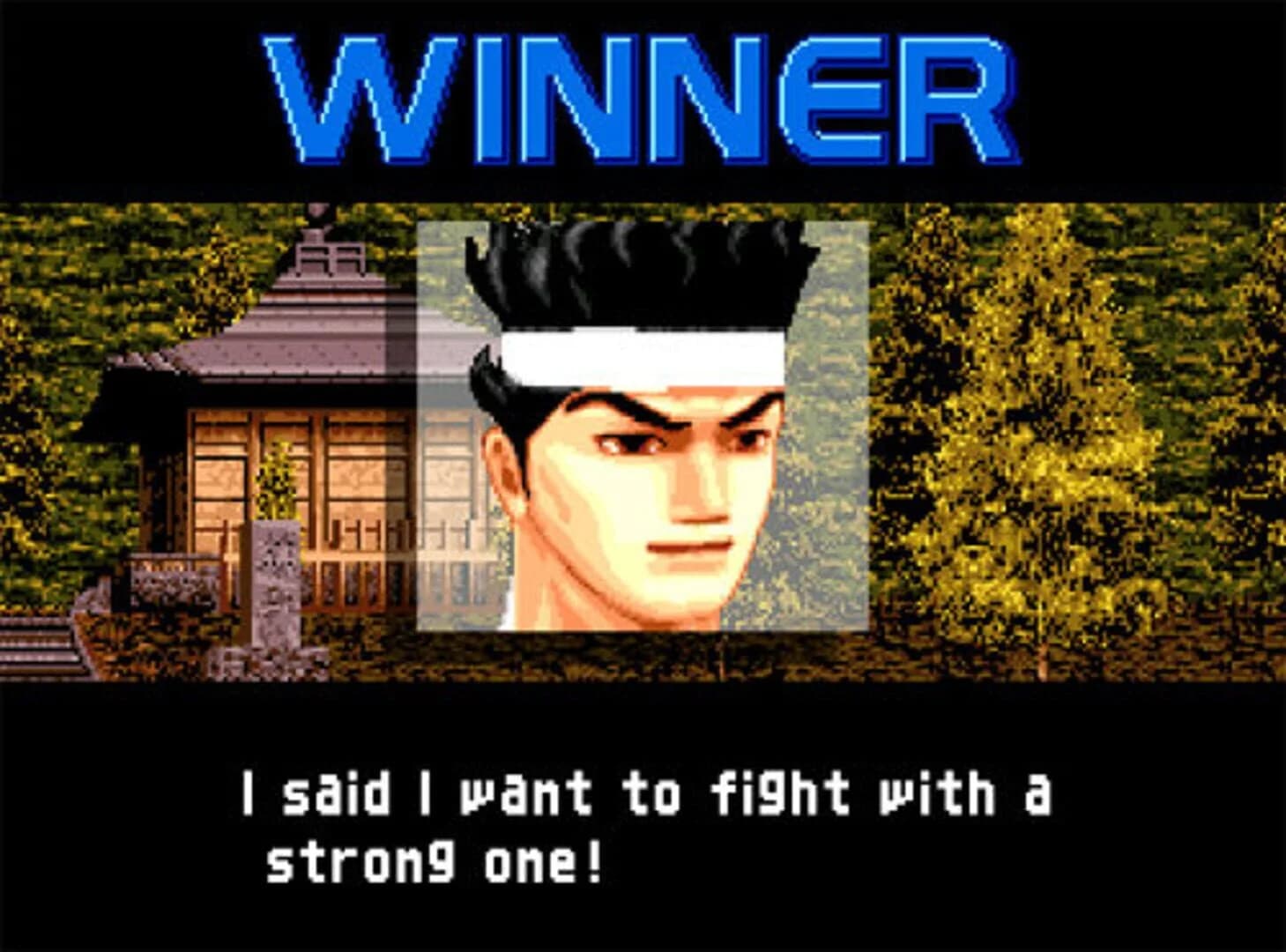 Virtua Fighter 2 screenshot 2