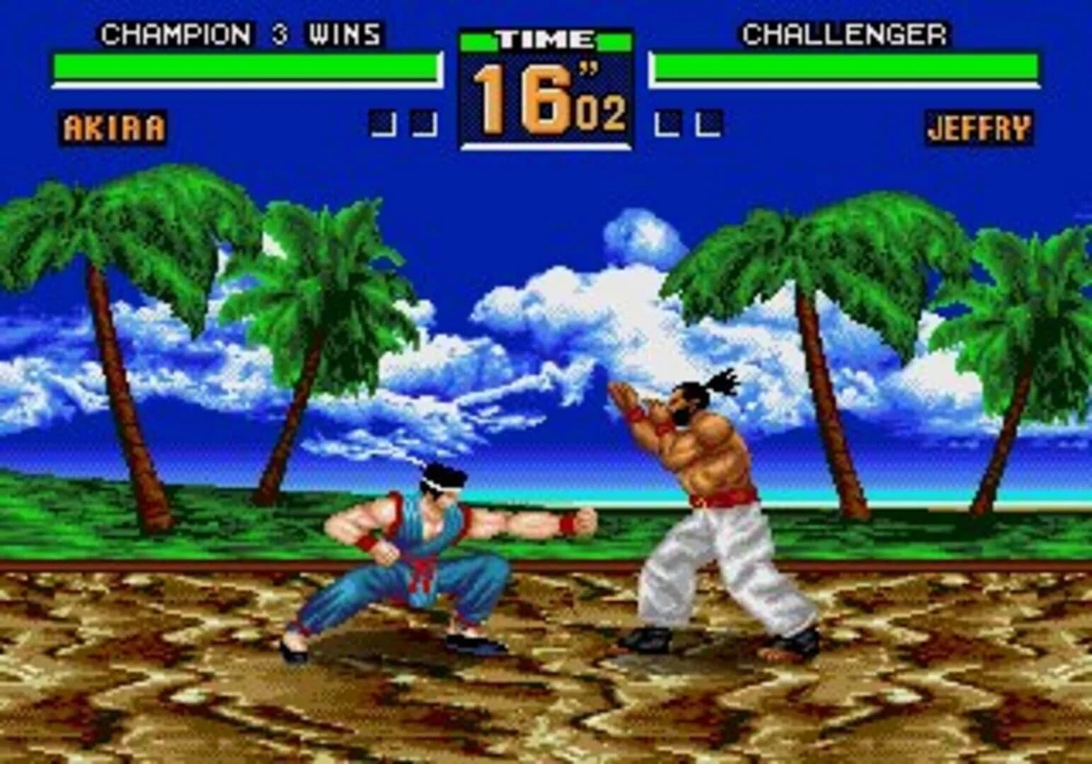 Virtua Fighter 2 screenshot 5