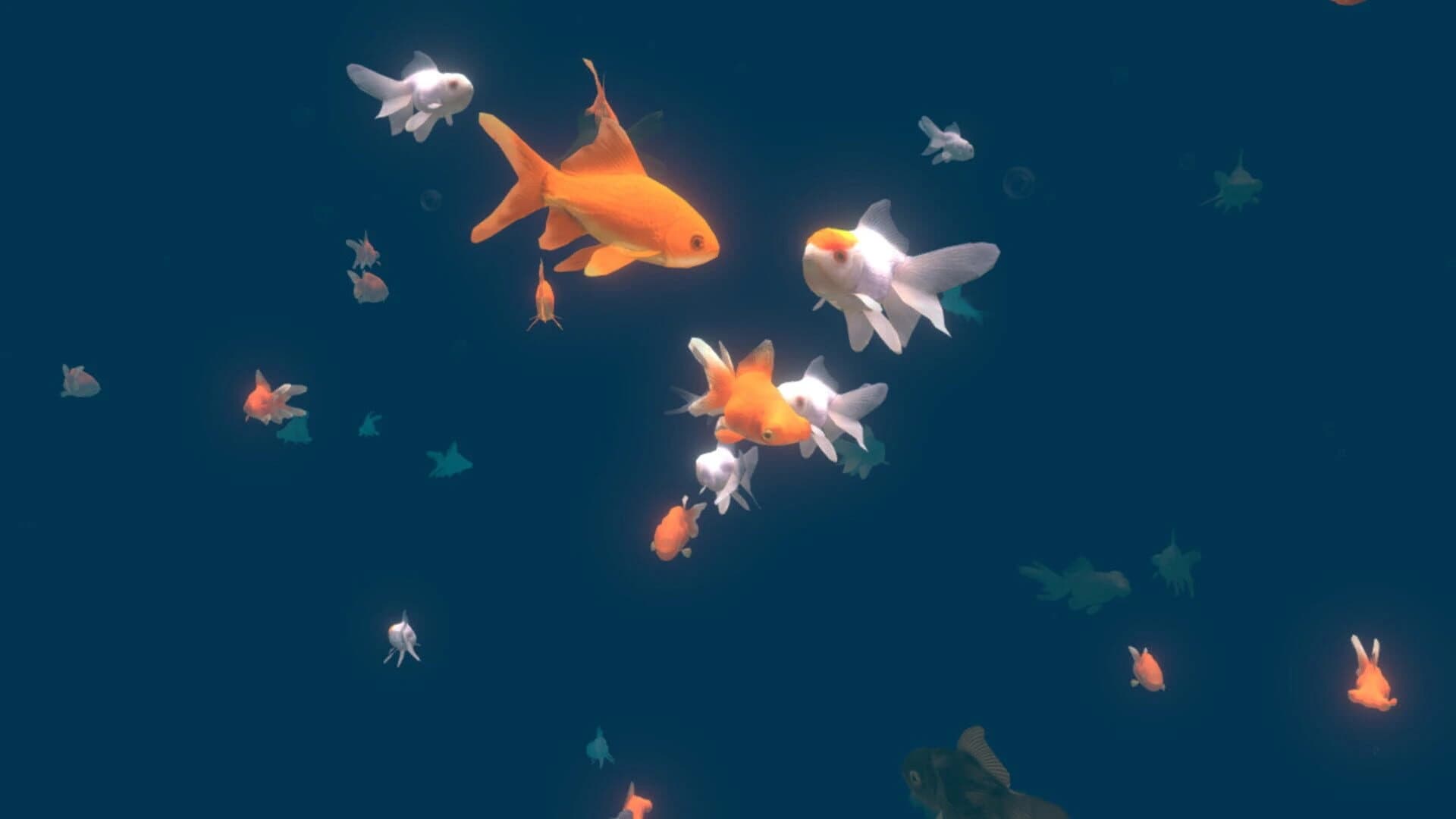 VR Aquarium Miyabi screenshot 5