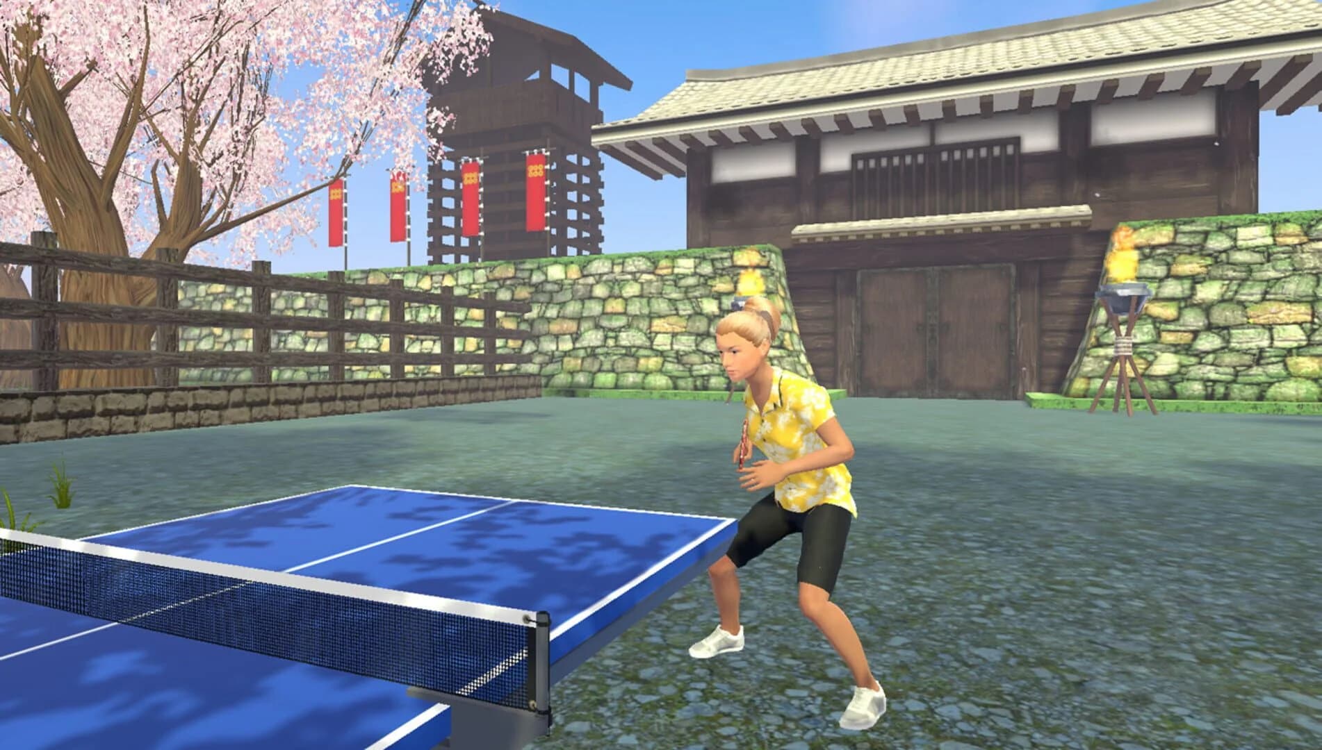 VR Ping Pong Paradise screenshot 5